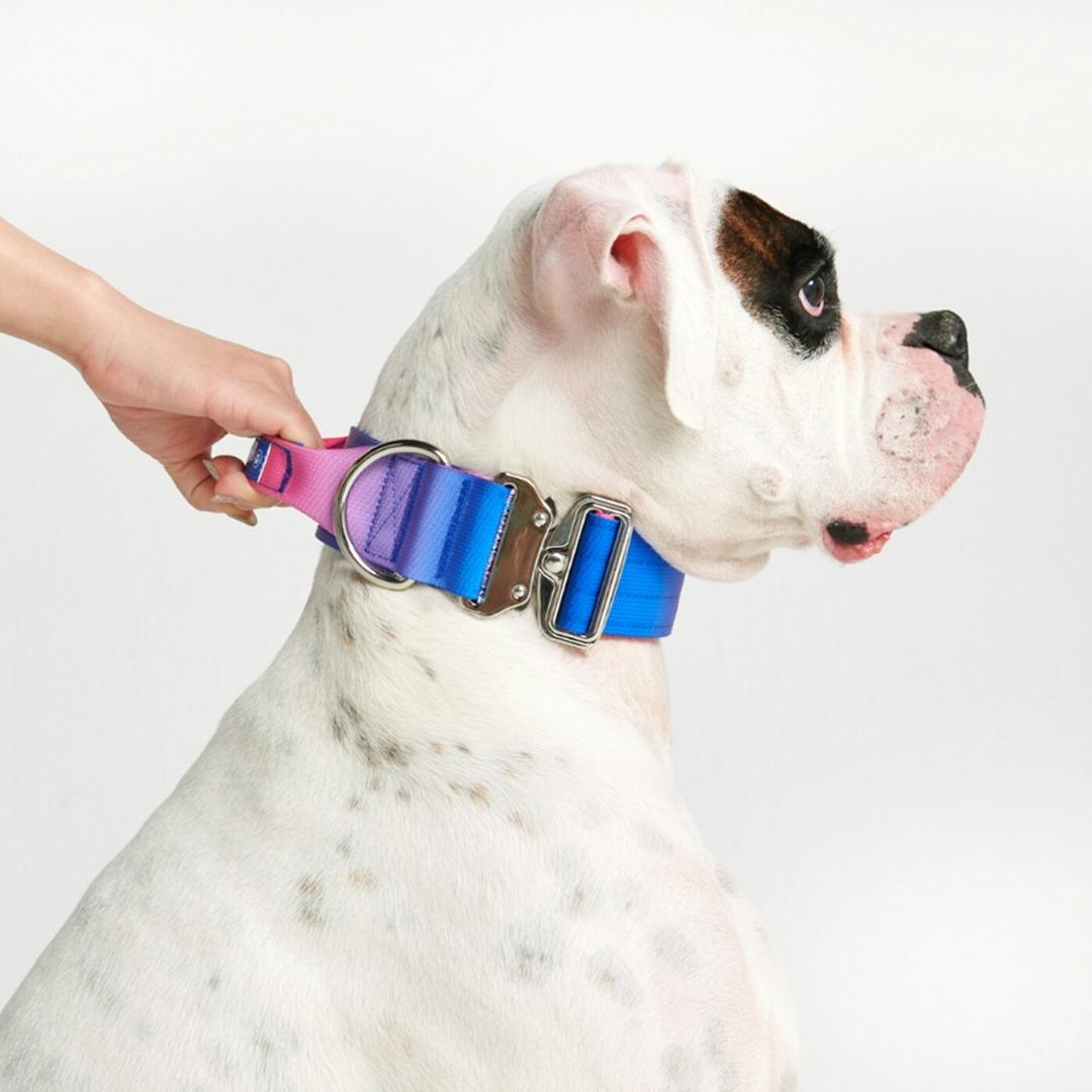Collier pour Chien avec Poignée Tactique Snow Cone - Spark Paws